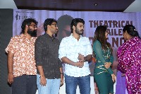 Nenu Meeku Baga Kavalsina Vadini Movie Trailer Launch